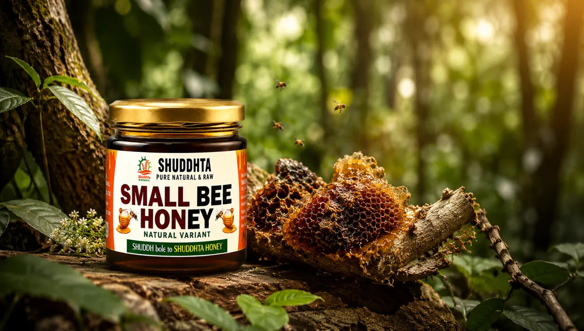 Small Bee Honey (Chhoti Makkhi ka Shahad) vs Regular Honey — 7 Aisa Fark Jo Aapko Pata Nahi Tha