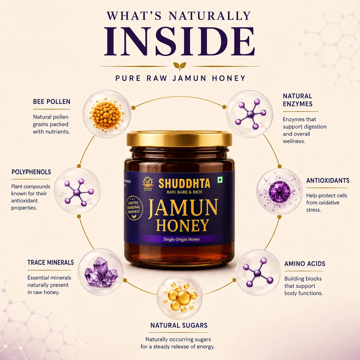 A jar of Shuddhta Jamun Honey centered on a beige infographic background with text and circular callouts about ingredients such as bee pollen, enzymes, polyphenols, antioxidants, amino acids, trace minerals, and natural sugars.
