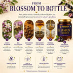 An infographic titled 'FROM BLOSSOM TO BOTTLE' explains the production process of Shuddhta Jamun Honey. It features six numbered steps from blossom gathering to the final bottled product, accompanied by ingredient photos, icons, and descriptive text on a cream-colored background.