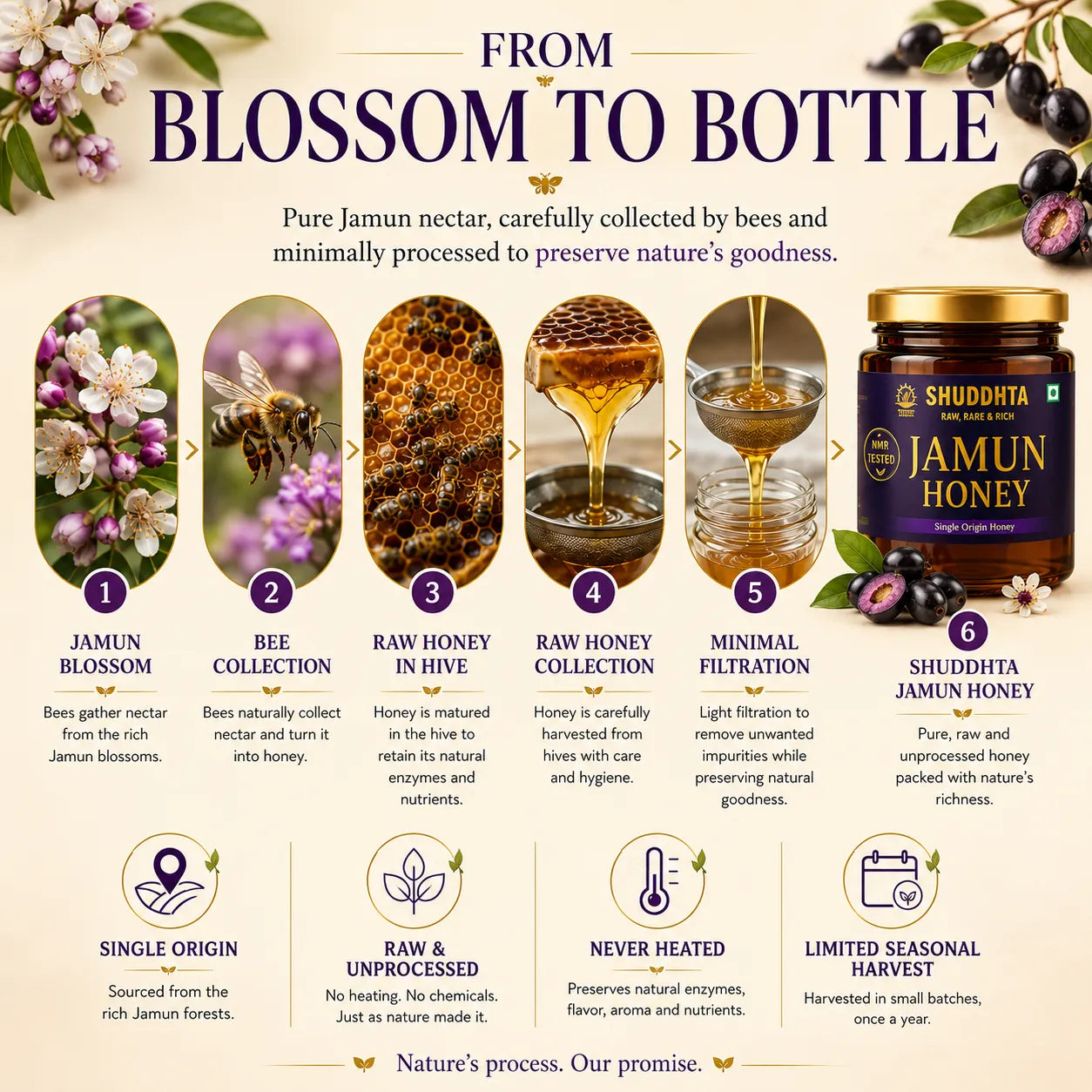An infographic titled 'FROM BLOSSOM TO BOTTLE' explains the production process of Shuddhta Jamun Honey. It features six numbered steps from blossom gathering to the final bottled product, accompanied by ingredient photos, icons, and descriptive text on a cream-colored background.