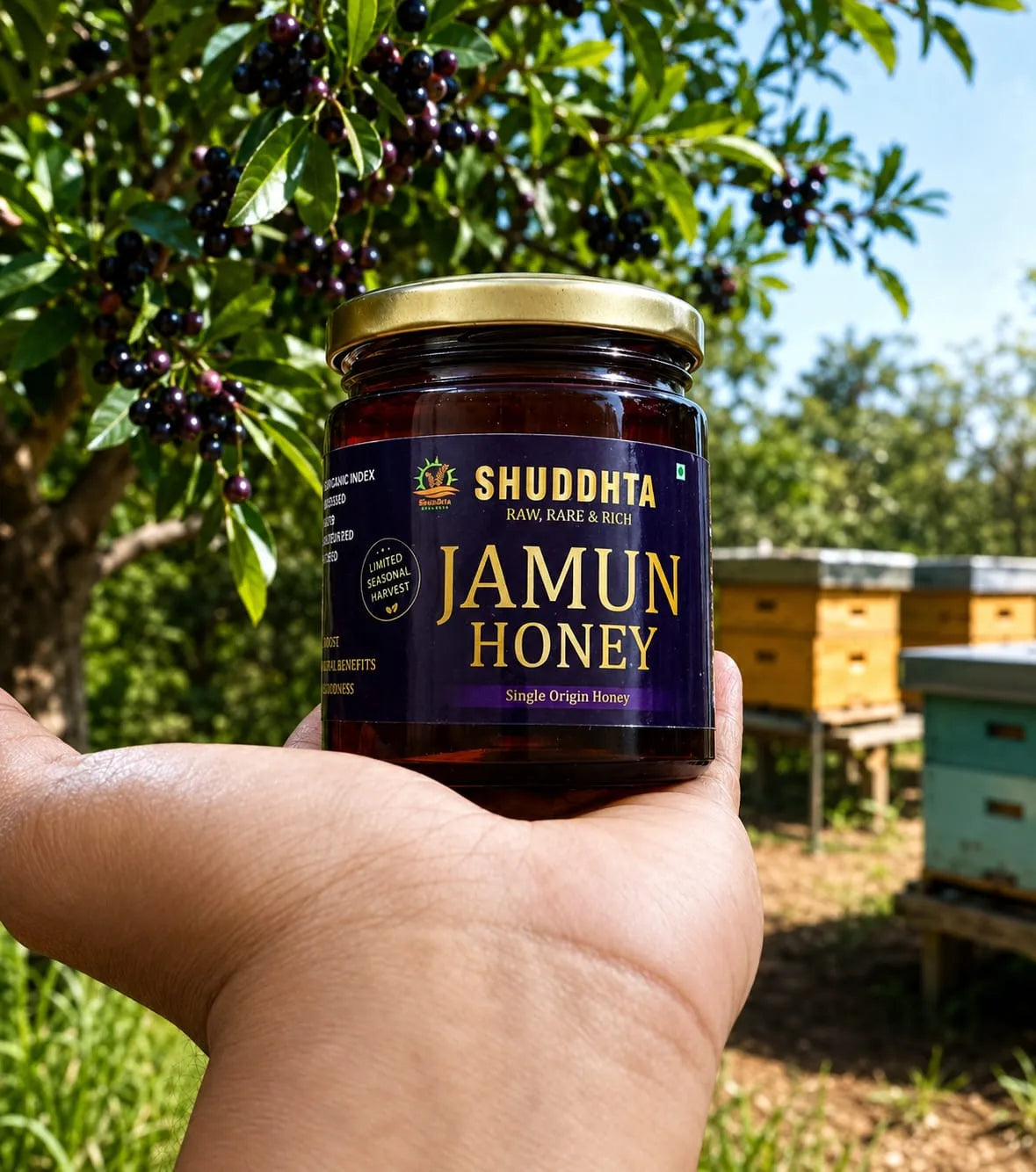 Jar of Shuddhita Jamun Honey held in a hand with a beekeeping background