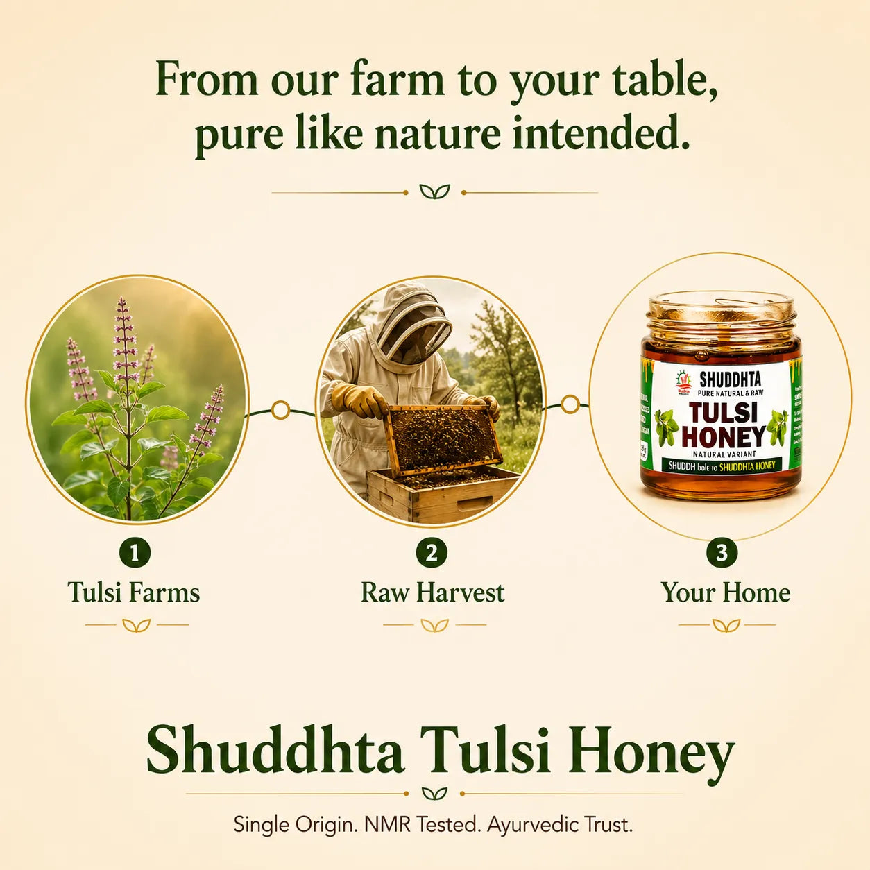 Promotional graphic for Shuddhta Tulsi Honey showing three illustrated steps: tulsi plants from Tulsi Farms, a beekeeper harvesting raw honey, and a jar of honey at your table. Text reads, 'From our farm to your table, pure like nature intended.