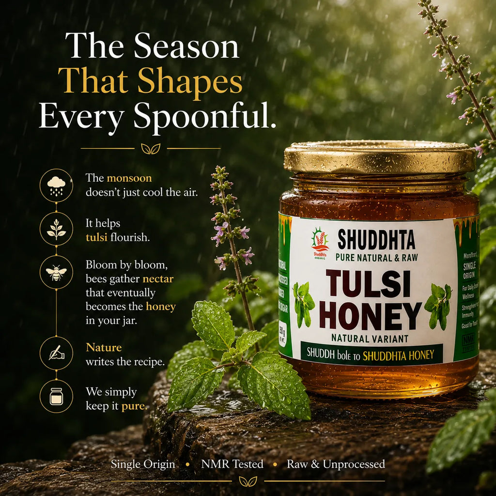 A jar of Shuddhta Pure Natural & Raw Tulsi Honey is displayed on a wet log in a lush green forest setting with raindrops. The jar has a gold lid and a white label with green and black text.