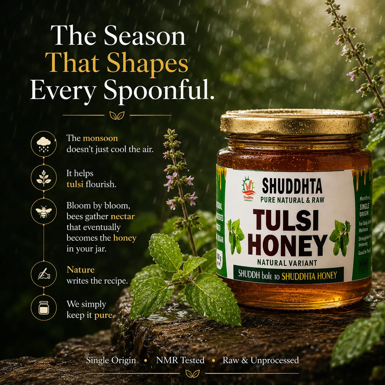 A jar of Shuddhta Pure Natural & Raw Tulsi Honey is displayed on a wet log in a lush green forest setting with raindrops. The jar has a gold lid and a white label with green and black text.