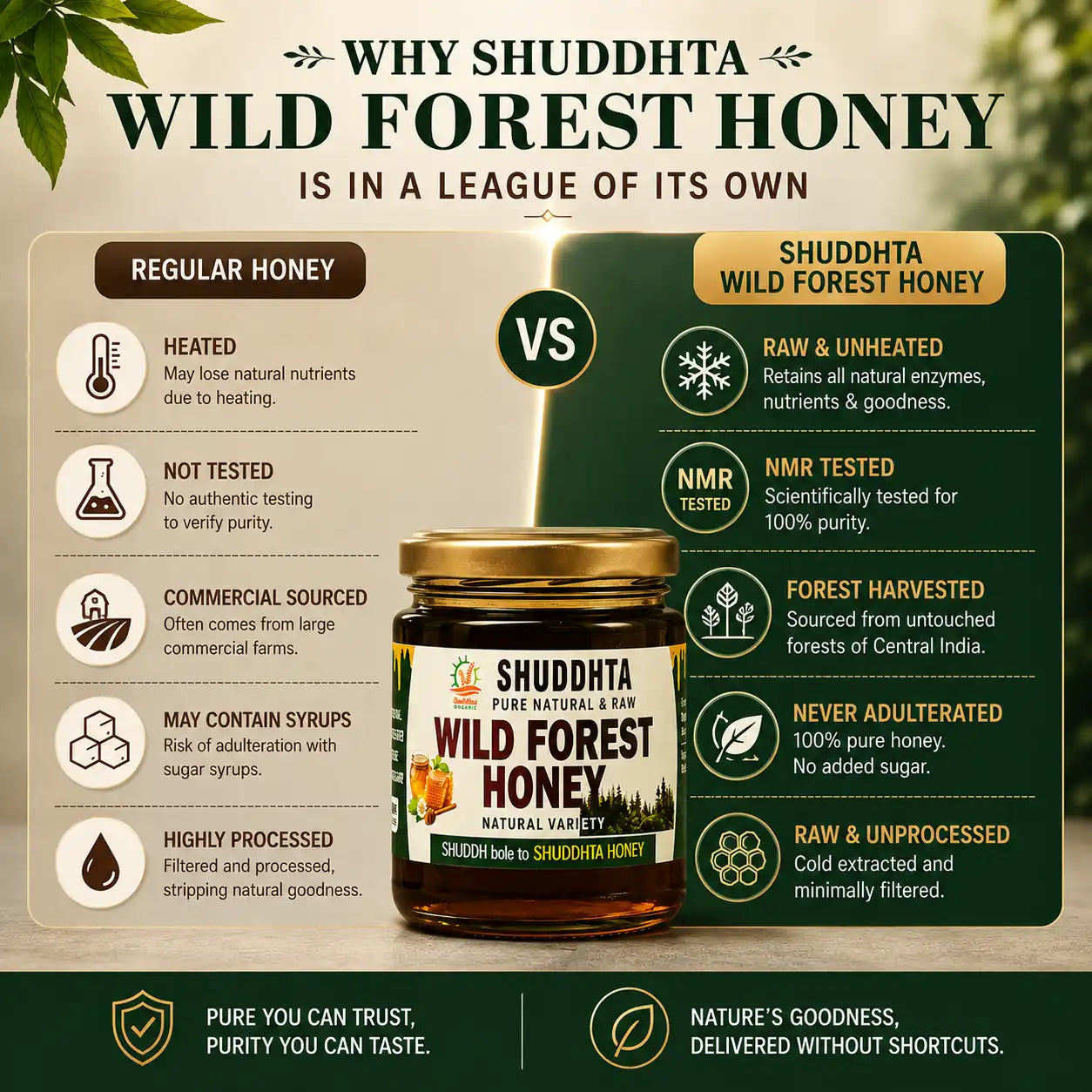 A promotional infographic comparing Shuddhta Regular Honey and Shuddhta Wild Forest Honey, featuring a jar of Shuddhta Wild Forest Honey in the center with text callouts on both sides.