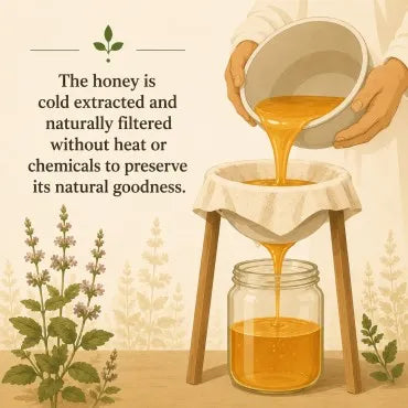 process showing honey extraction and filter by using cloth no heating no adulteration at shudhdta organic bee keeping farms 