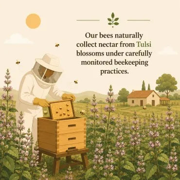 beekeeping colony care at shuddhta farms 