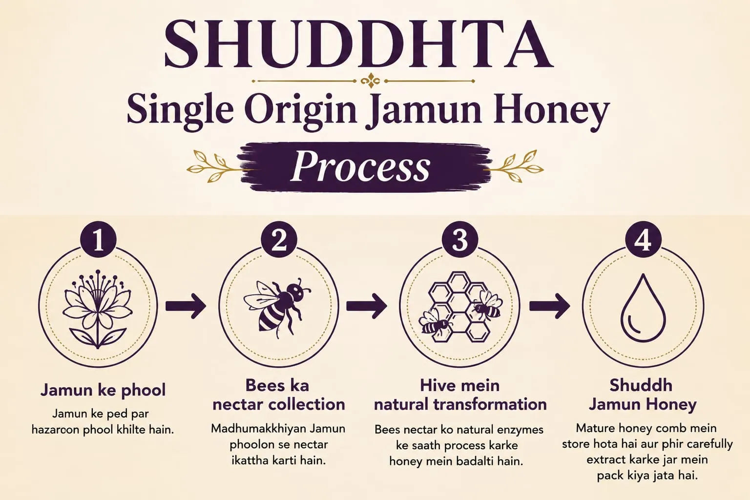 Infographic of Shuddhta Single Origin Jamun Honey Process