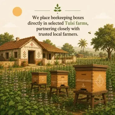 A scenic illustration of a rural Tusli farm with a small white and terracotta house, green crops, trees, and several wooden beekeeping boxes placed outdoors in the field. Text at the top reads, 'We place beekeeping boxes directly in selected Tulsi farms, partnering closely with trusted local farmers.